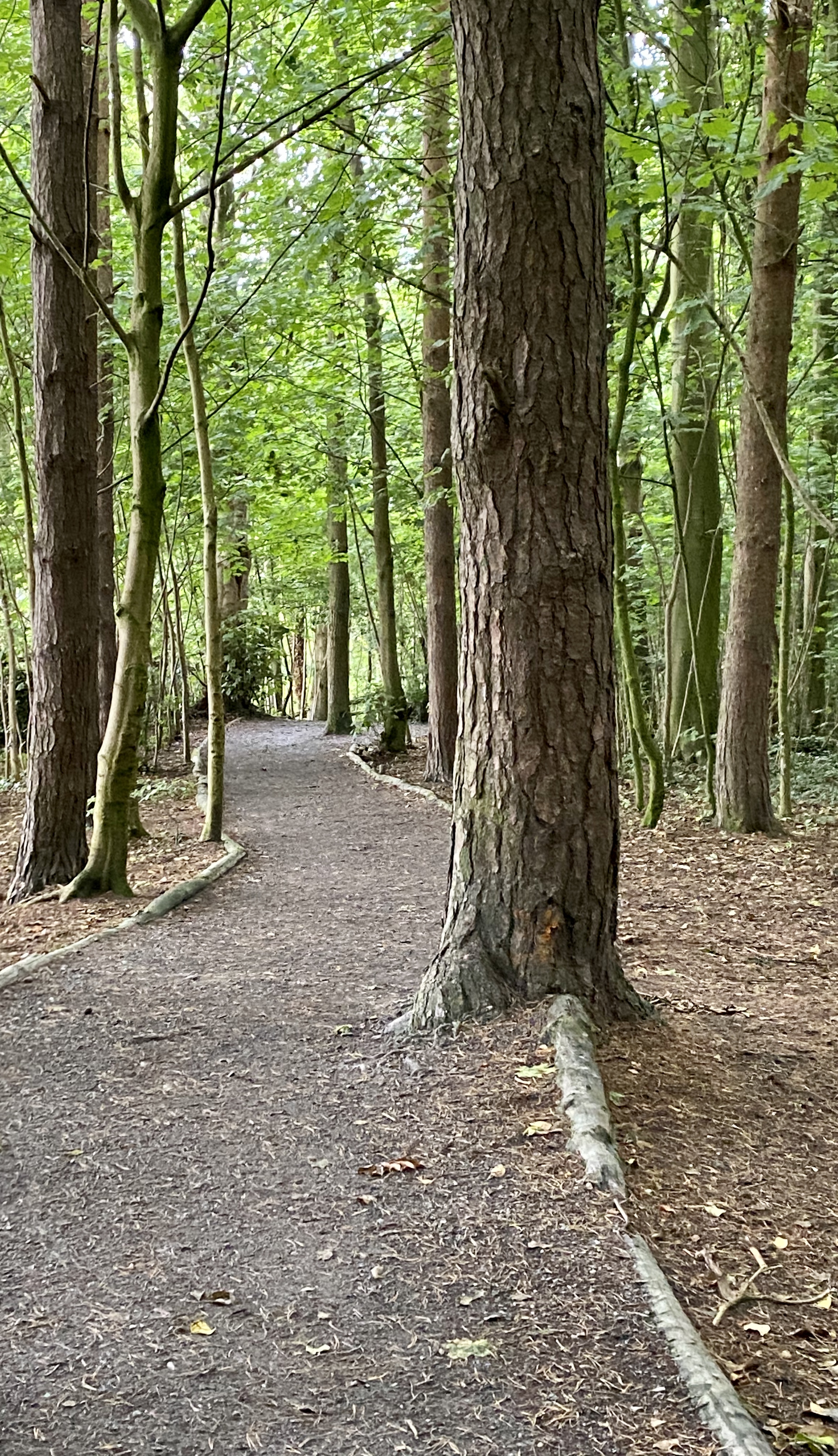 32B29B1D-5451-41E5-8DD3-AA852A8E23A1