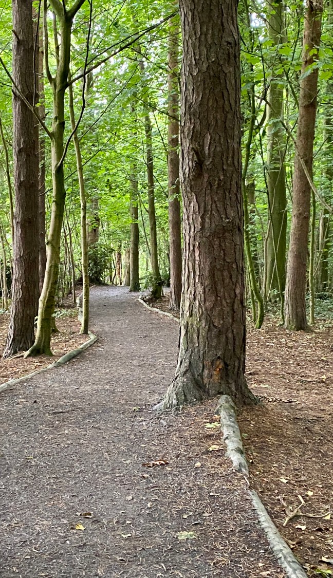 32B29B1D-5451-41E5-8DD3-AA852A8E23A1